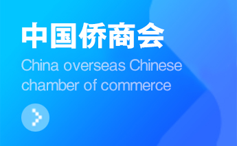 黄奕聪慈善基金会联合金光集团APP（中国）捐赠1000万元支援吉隆灾区