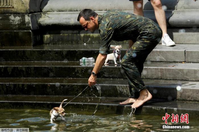 资料图：美国纽约曼哈顿，一名男子牵着小狗到水池边降温。